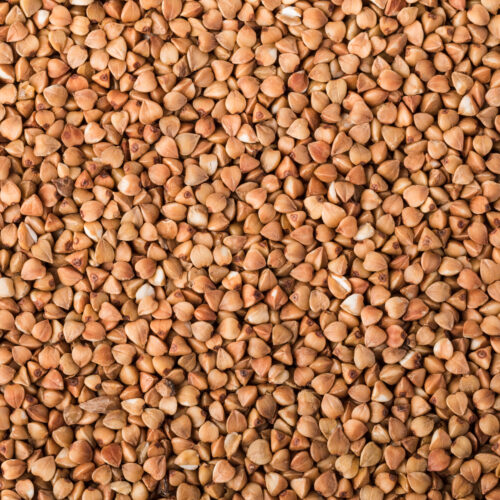 Buckwheat: Conventional & Organic