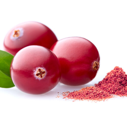 Cranberry Powder