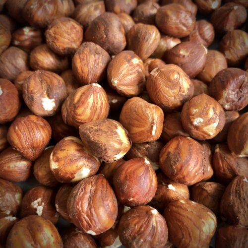 Hazelnuts/Filberts