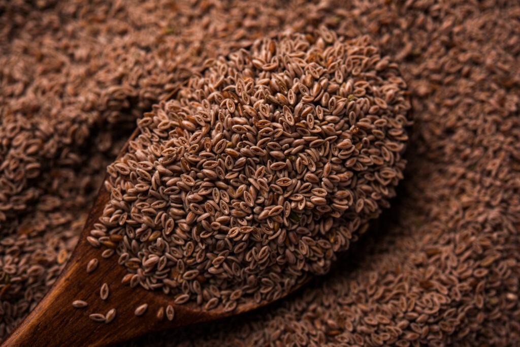 Psyllium Seeds