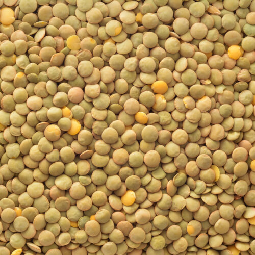 Lentils