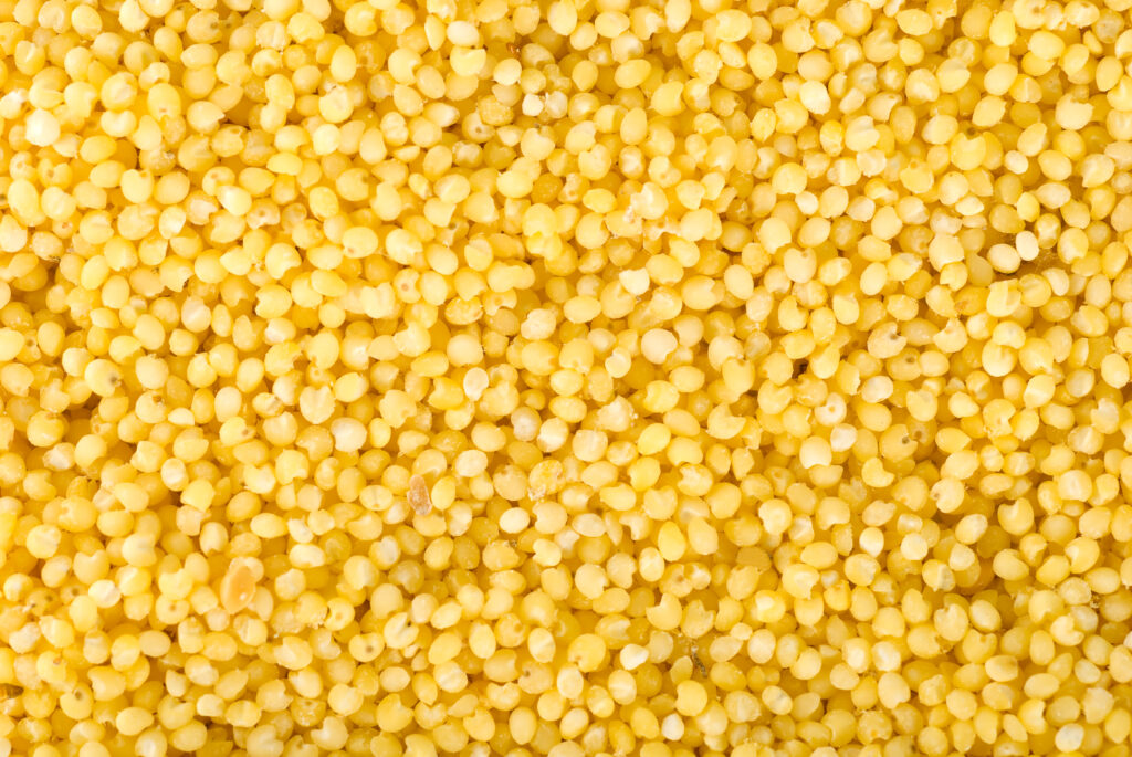 Millet: Conventional & Organic