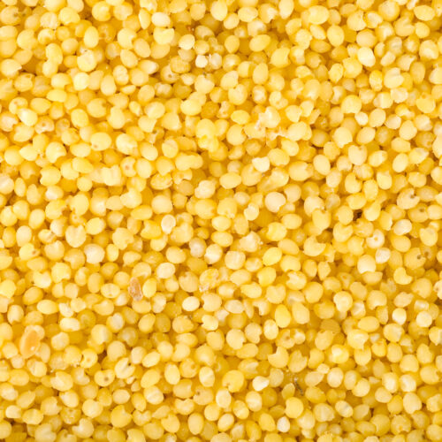 Millet: Conventional & Organic