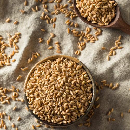 Farro