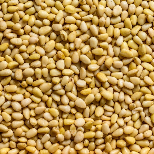 Pine Nuts