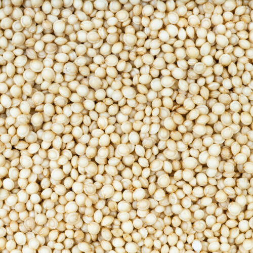 Amaranth: Conventional & Organic